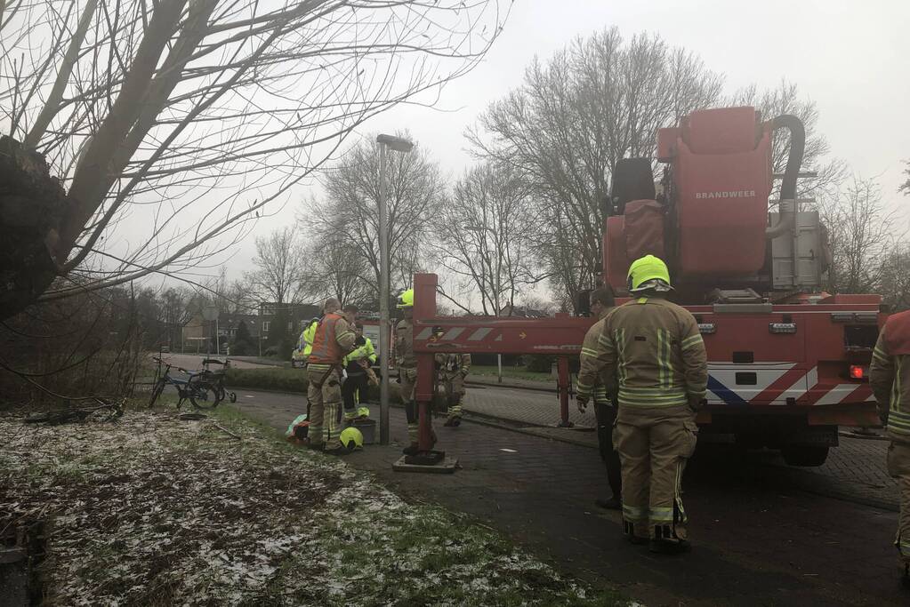 Brandweer redt uil uit boom
