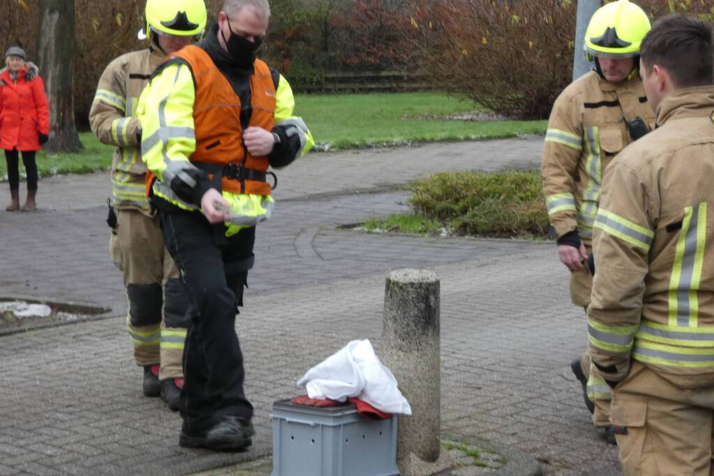 Brandweer redt uil uit boom