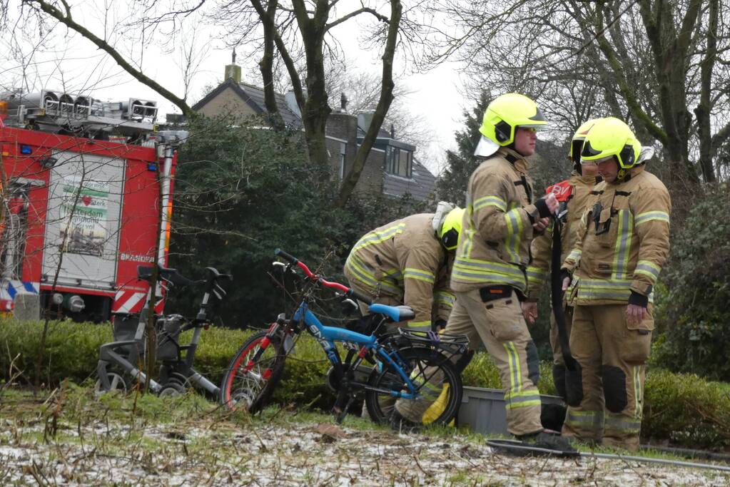 Brandweer redt uil uit boom