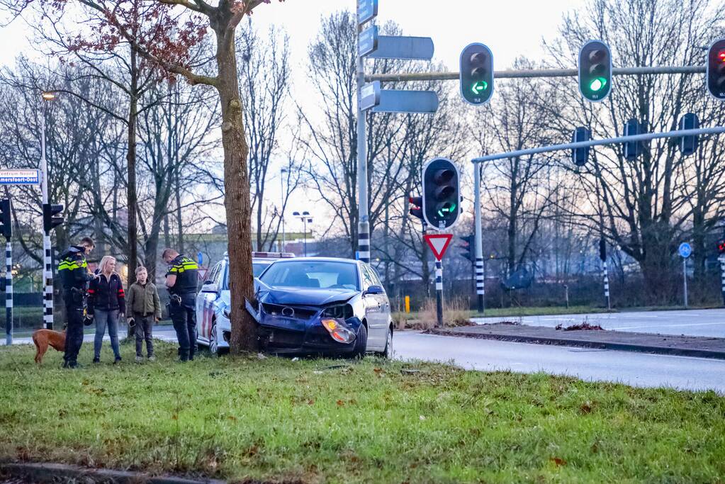 Bestuurster raakt van de weg en botst tegen boom