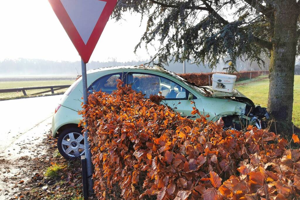 Automobilist rijdt lantaarnpaal uit de grond en komt in tuin tot stilstand