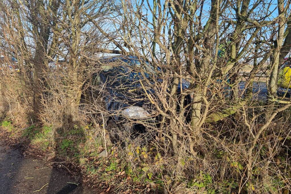 Automobilist eindigt in bosschage