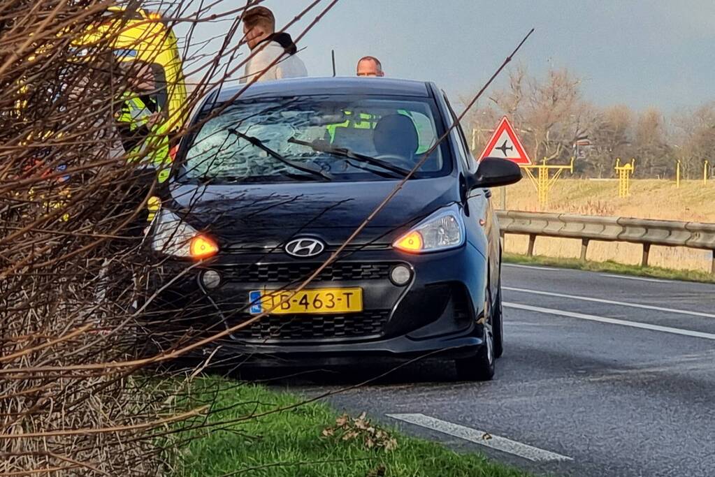 Automobilist eindigt in bosschage