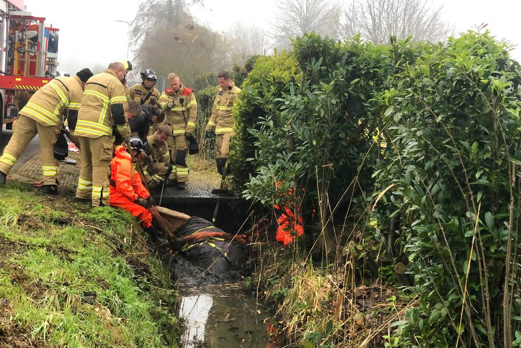 Paard valt in sloot