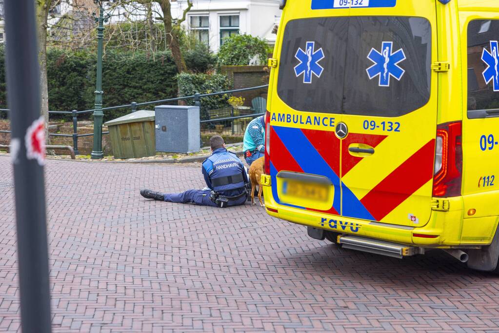 Fietsster slaat over de kop met aangelijnde hond
