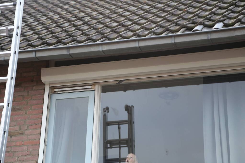 Vogel zit vast in rolluik bij woning