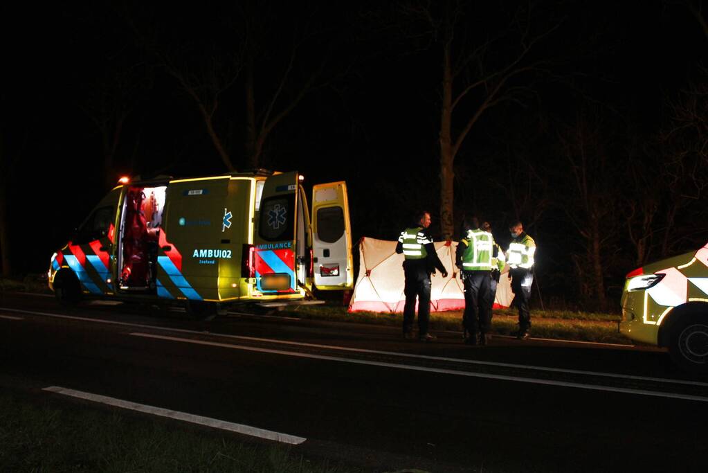 Automobilist overleden na botsing tegen boom