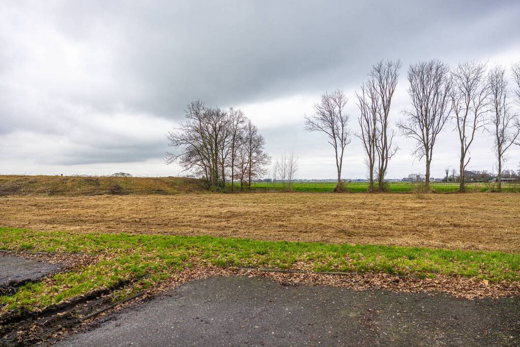 Kaalslag in beruchte bosgebied carpoolplaats Bunschoten