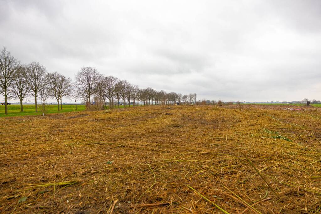 Kaalslag in beruchte bosgebied carpoolplaats Bunschoten