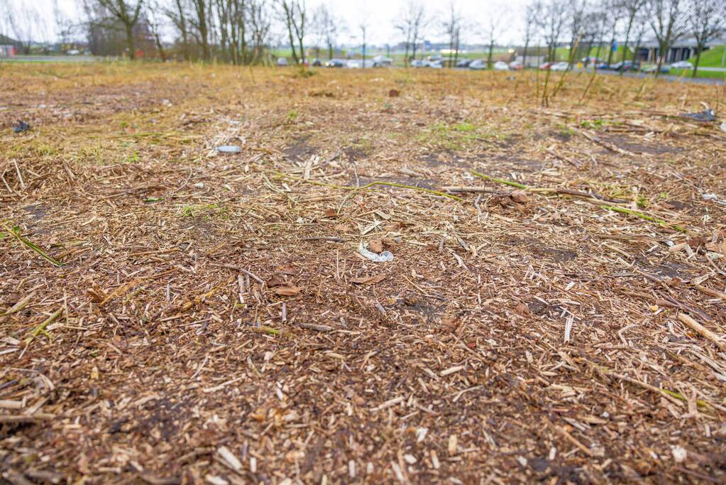 Kaalslag in beruchte bosgebied carpoolplaats Bunschoten