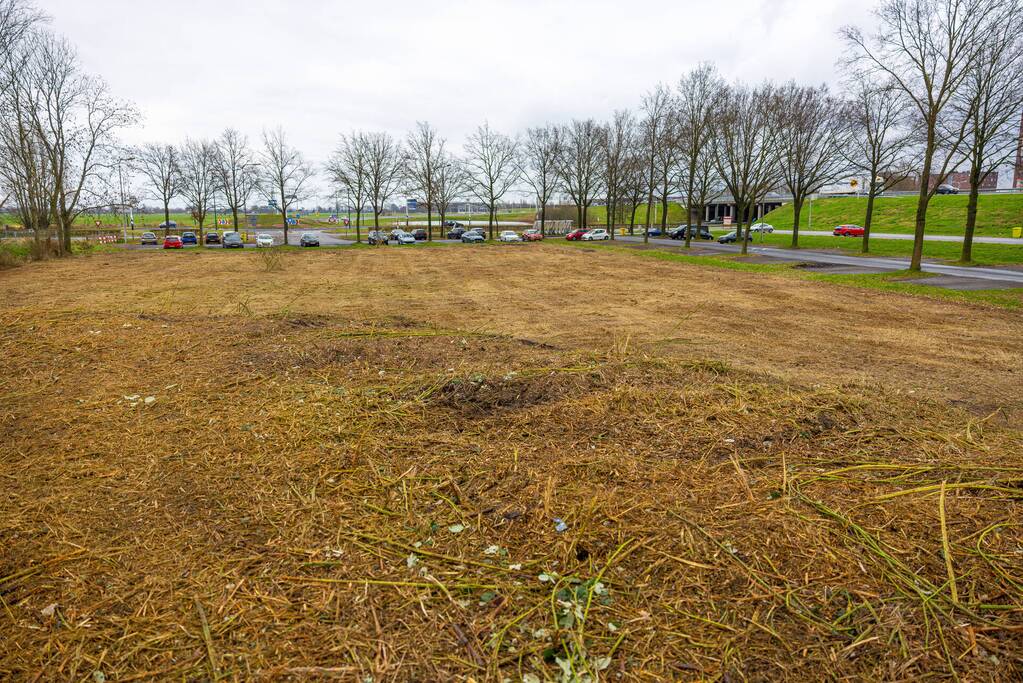 Kaalslag in beruchte bosgebied carpoolplaats Bunschoten