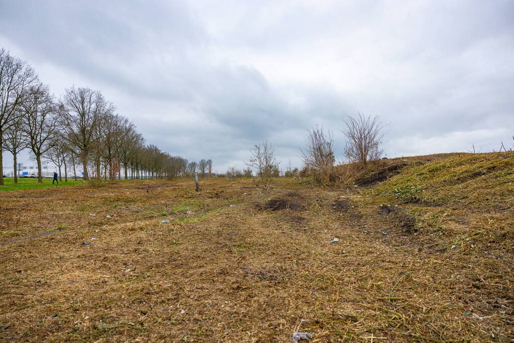 Kaalslag in beruchte bosgebied carpoolplaats Bunschoten