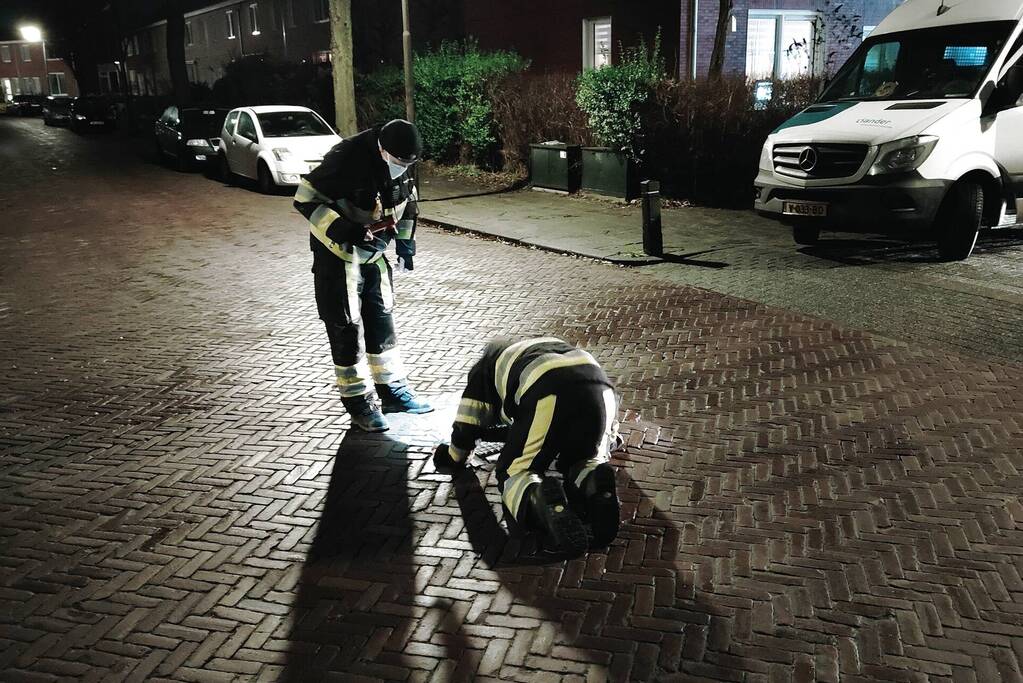 Onderzoek naar terpentine lucht