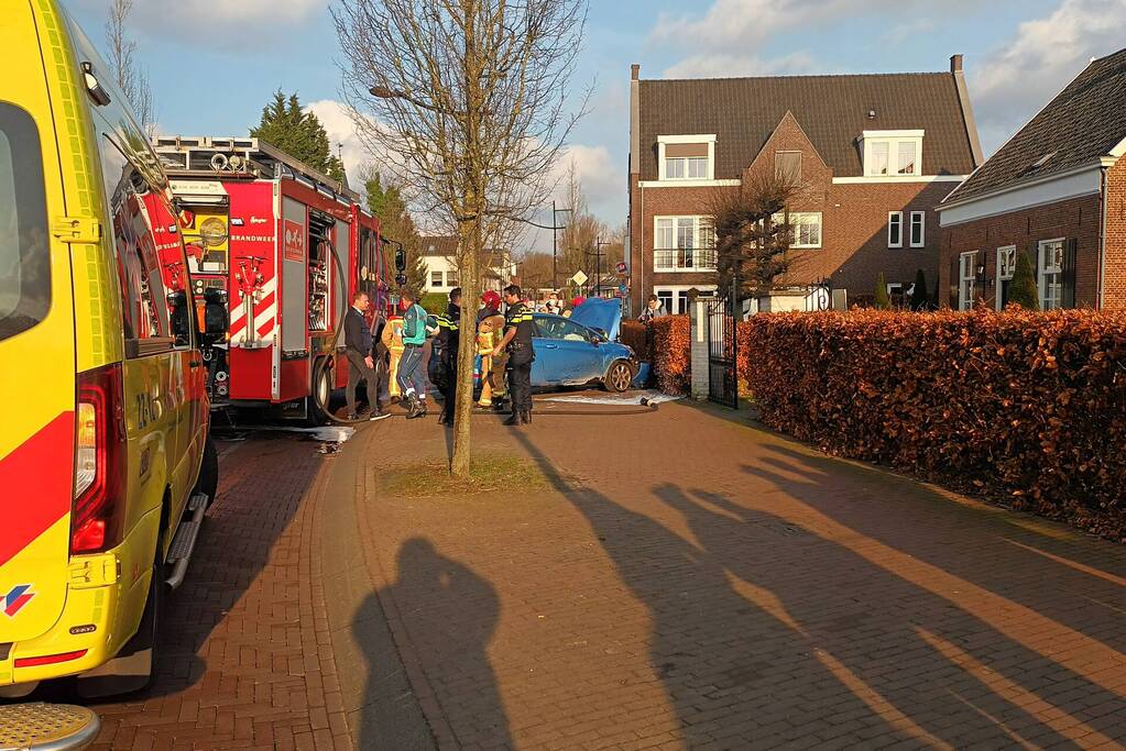 Automobilist botst tegen boom