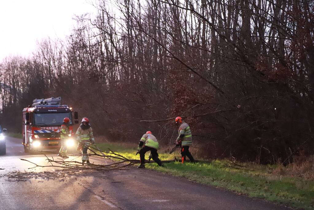 Brandweer verwijdert gevaarlijke tak boven de weg