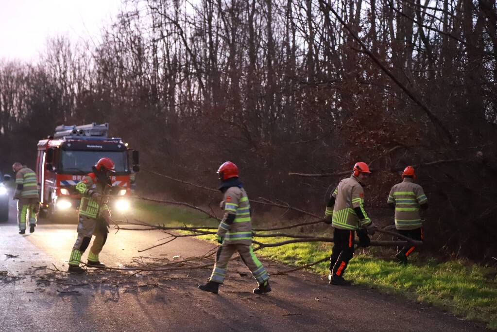 Brandweer verwijdert gevaarlijke tak boven de weg
