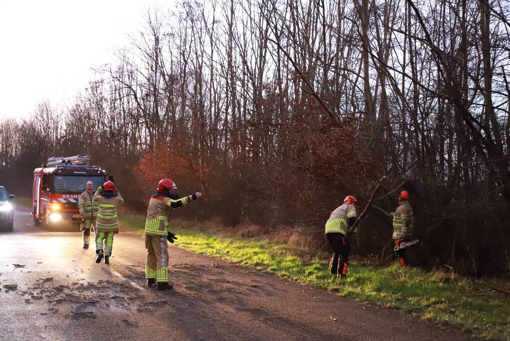 Brandweer verwijdert gevaarlijke tak boven de weg