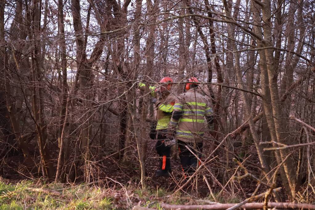 Brandweer verwijdert gevaarlijke tak boven de weg
