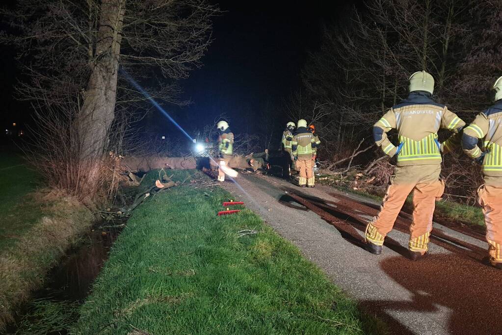 Brandweer ingezet voor omgewaaide boom