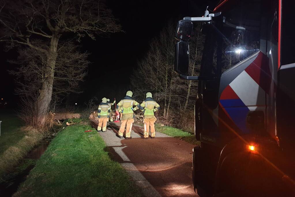 Brandweer ingezet voor omgewaaide boom