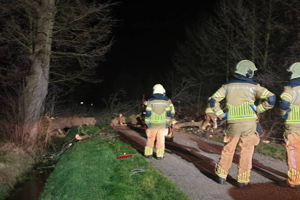 Brandweer ingezet voor omgewaaide boom