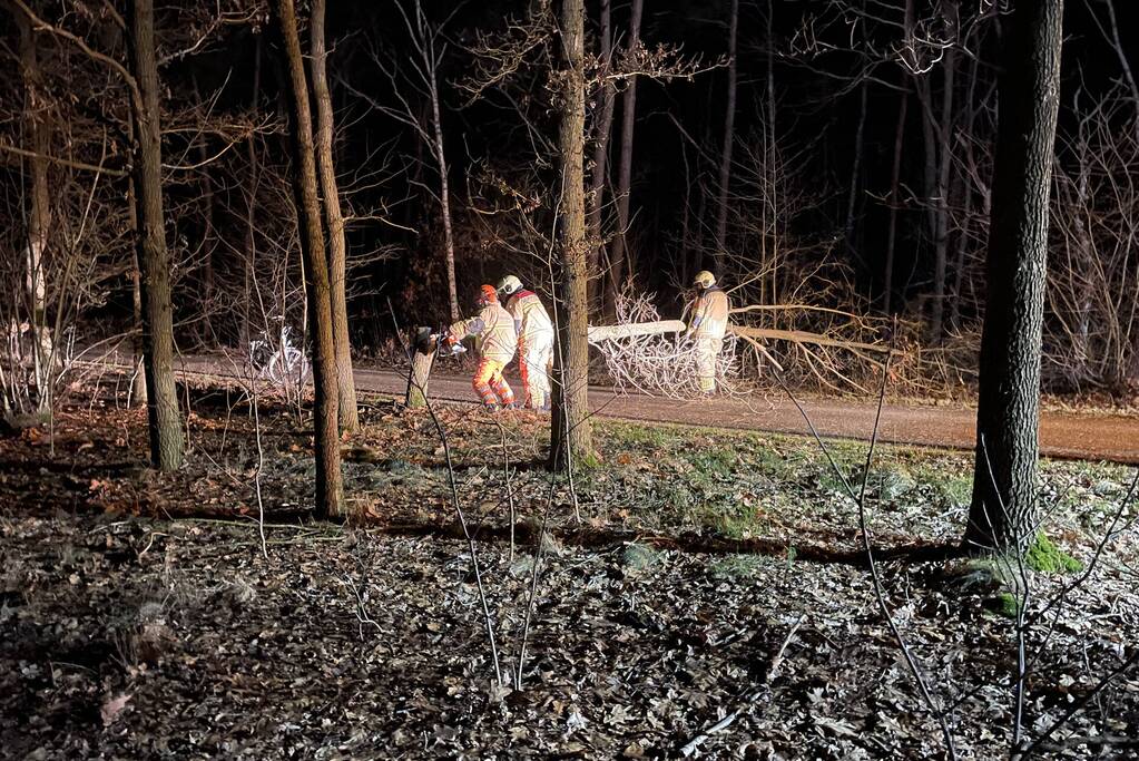 Gevaarlijke boom over de weg verwijderd