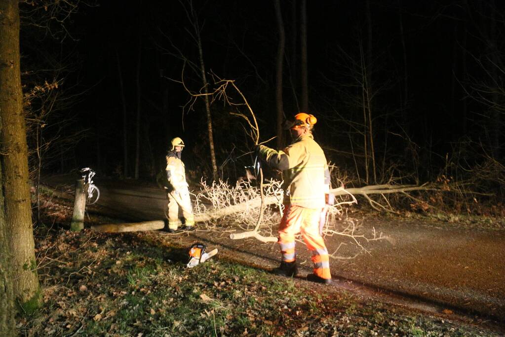 Gevaarlijke boom over de weg verwijderd