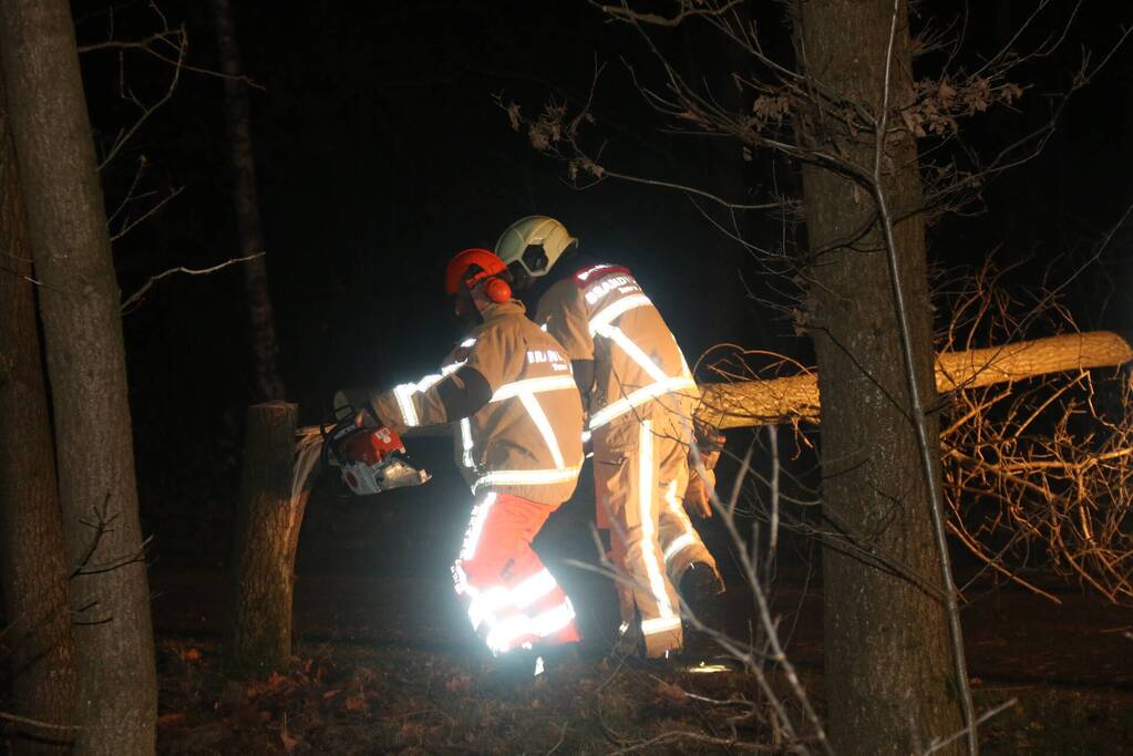 Gevaarlijke boom over de weg verwijderd