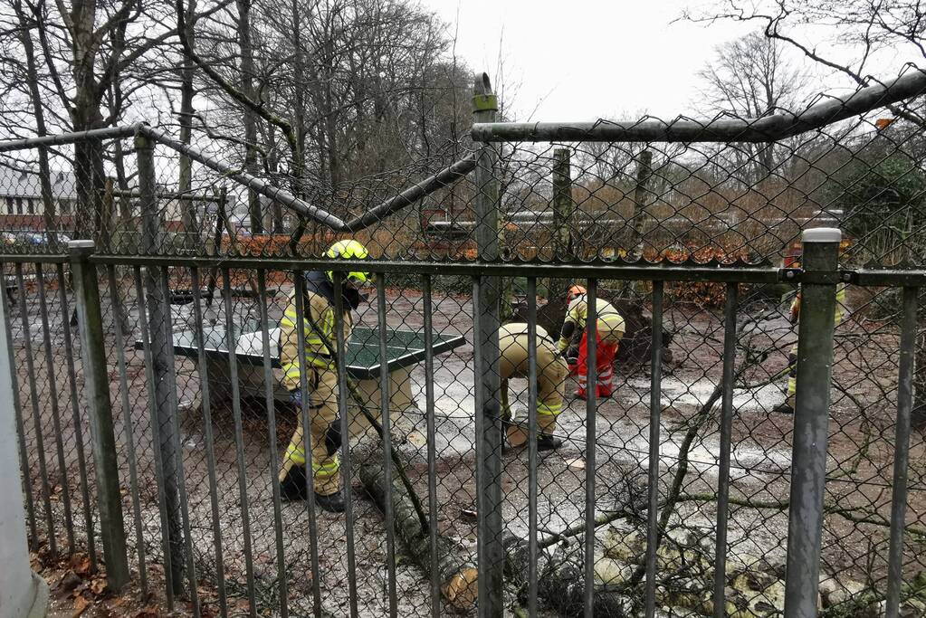 Omgewaaide boom valt op hekwerk van school