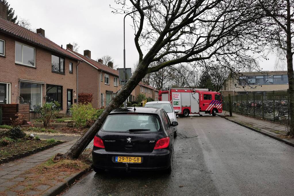 Omgewaaide boom belandt op auto