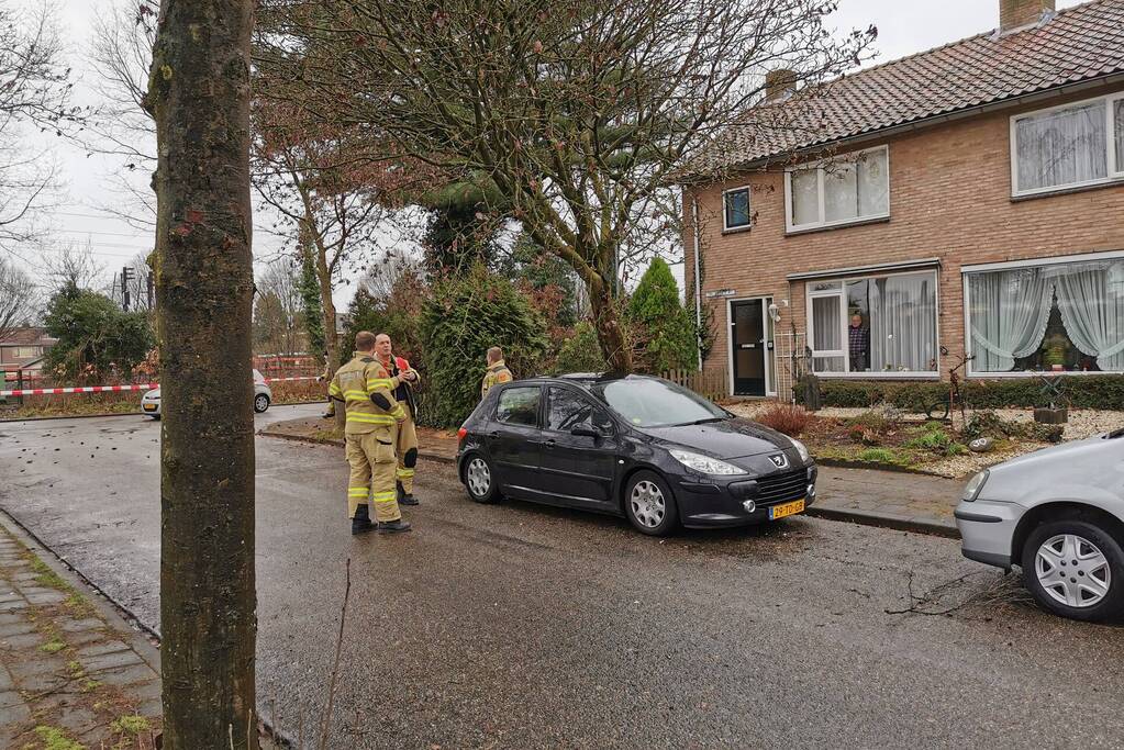 Omgewaaide boom belandt op auto