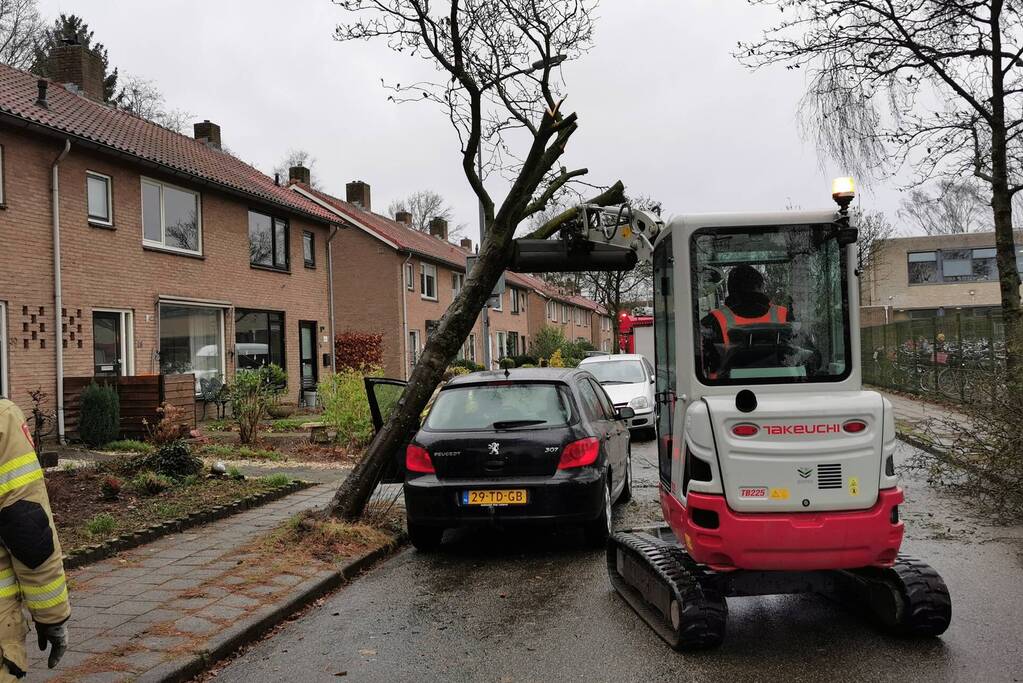 Omgewaaide boom belandt op auto