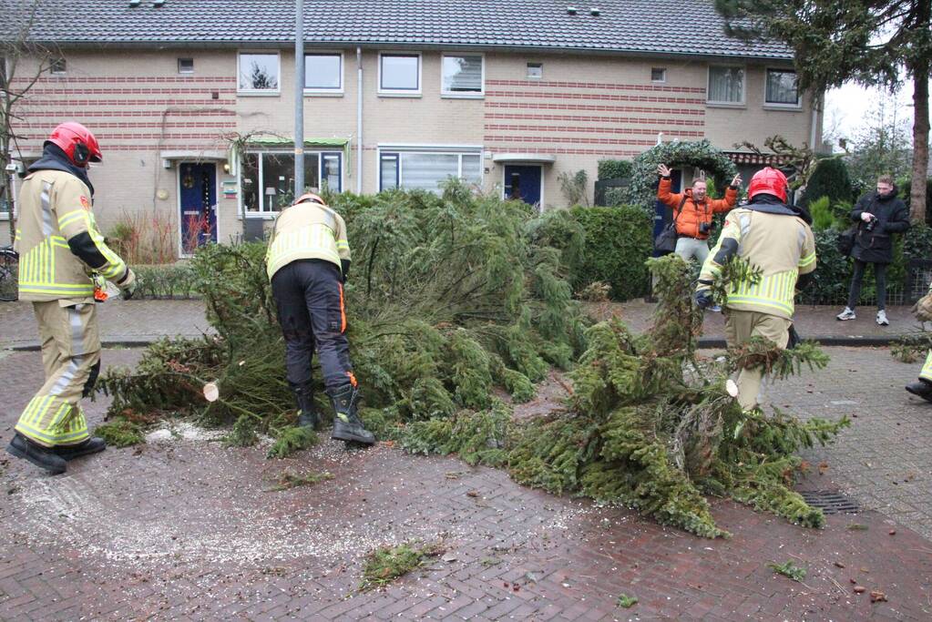 Flinke dennenboom valt op motorkap van auto
