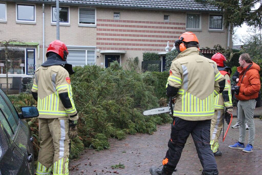 Flinke dennenboom valt op motorkap van auto