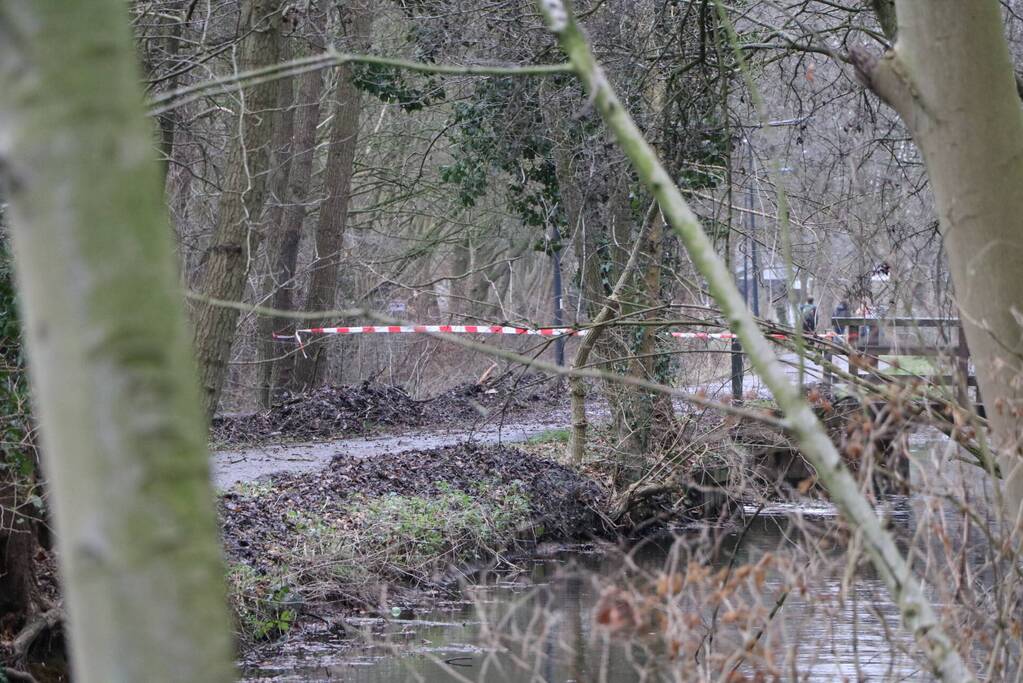 Omgevallen boom verspert fietspad Leidse Hout
