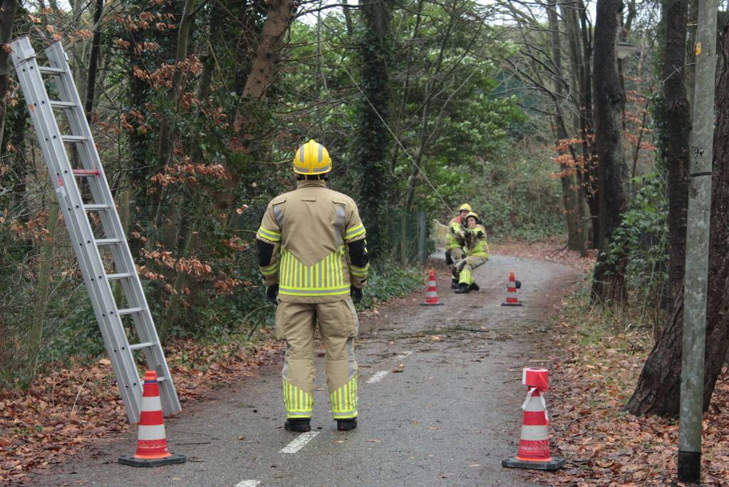 Boom hangt gevaarlijk over fietspad