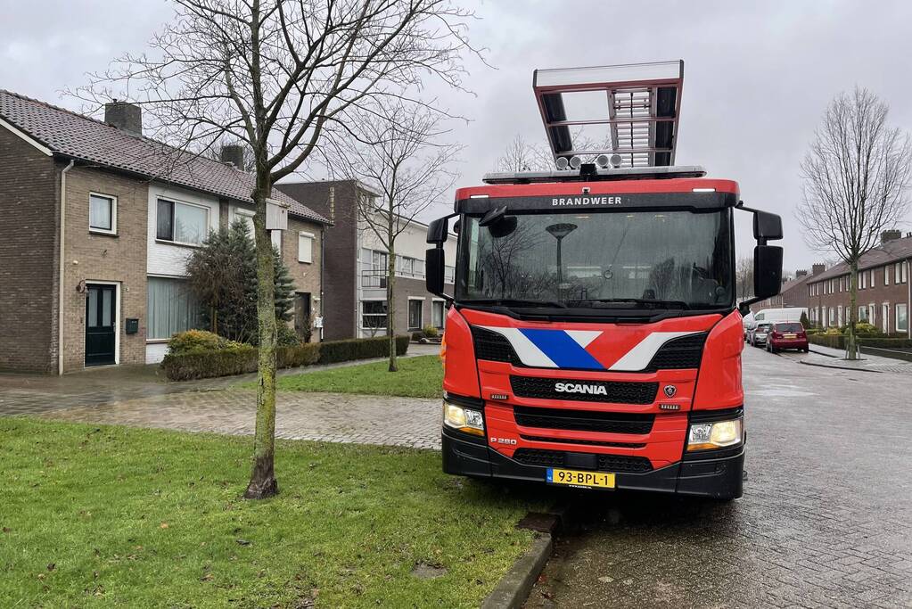 Conifeer boom belandt op schuur van buren
