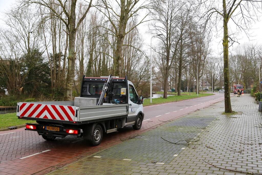 Brandweer zaagt omgevallen boom klein