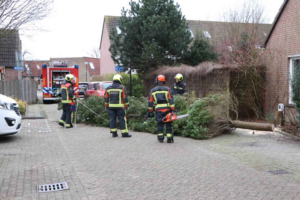 Brandweer zaagt omgewaaide boom in stukken