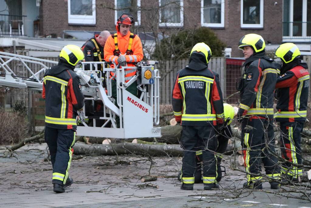 Hulpdiensten handen vol aan omvallende boom