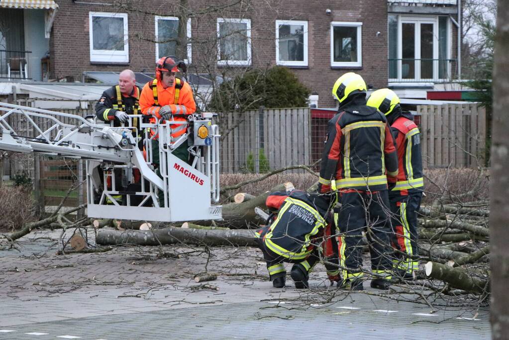 Hulpdiensten handen vol aan omvallende boom