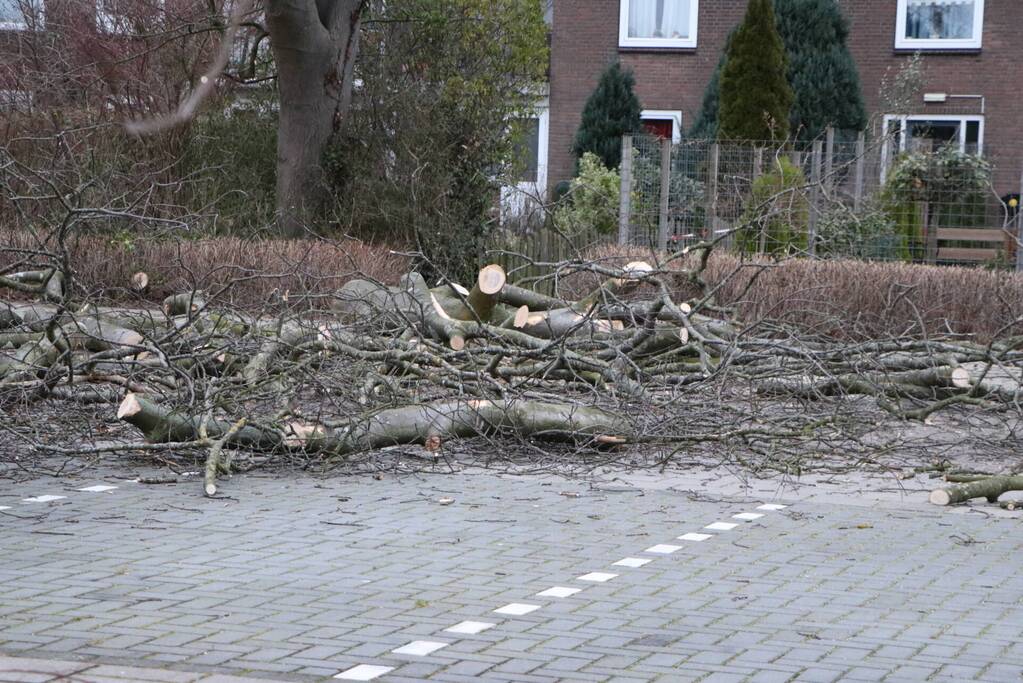 Hulpdiensten handen vol aan omvallende boom