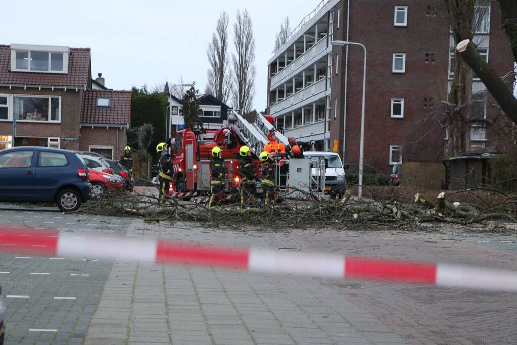 Hulpdiensten handen vol aan omvallende boom