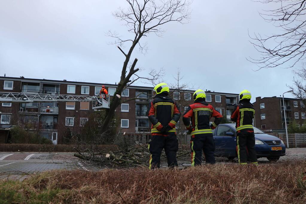 Hulpdiensten handen vol aan omvallende boom