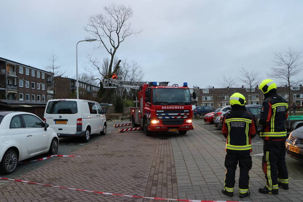 Hulpdiensten handen vol aan omvallende boom