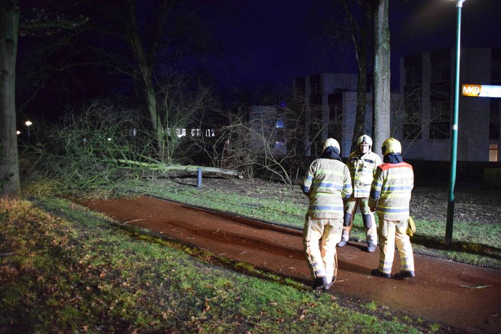 Boom waait over fietspad