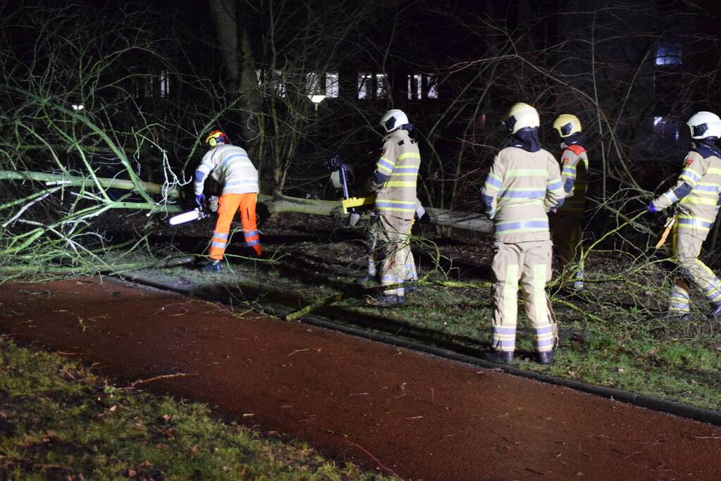 Boom waait over fietspad