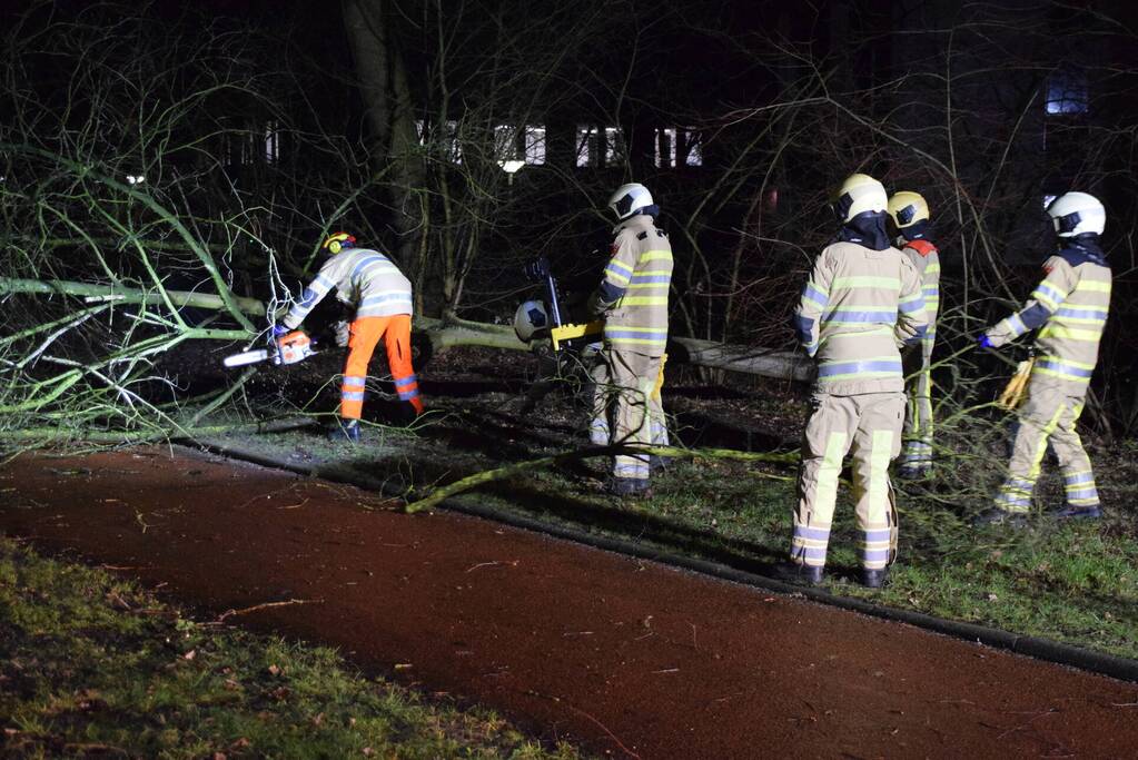 Boom waait over fietspad