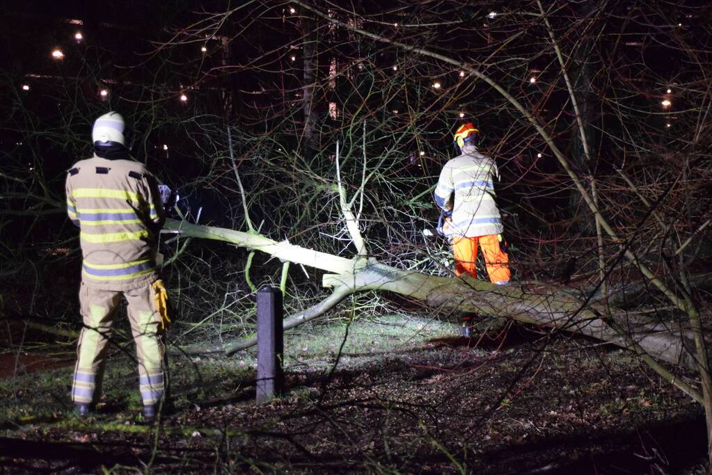 Boom waait over fietspad