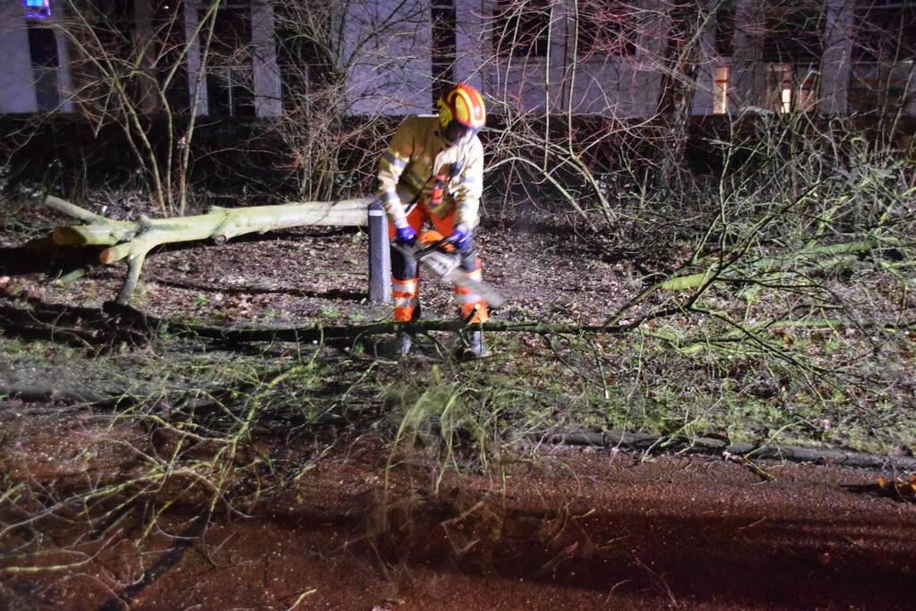 Boom waait over fietspad